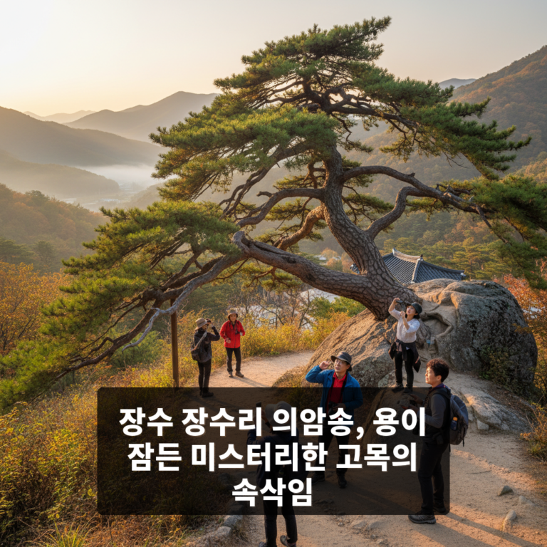 장수 장수리 의암송