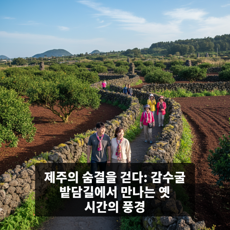 감수굴 밭담길