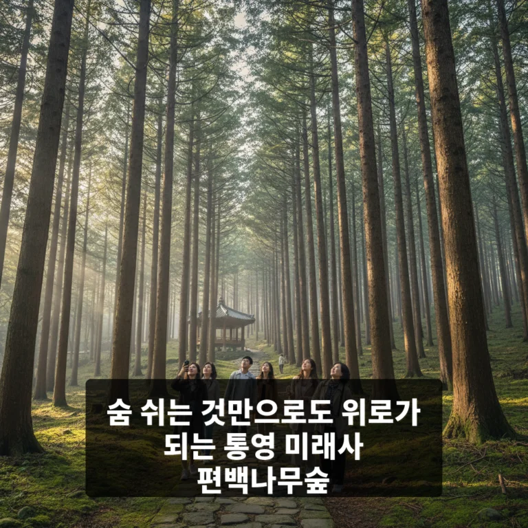 미래사 편백나무숲