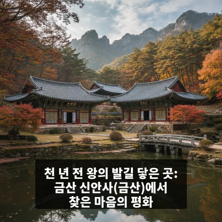 신안사(금산)