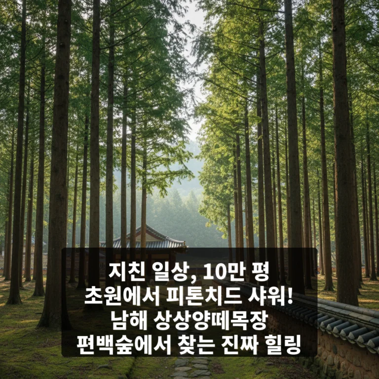남해 상상양떼목장 편백숲