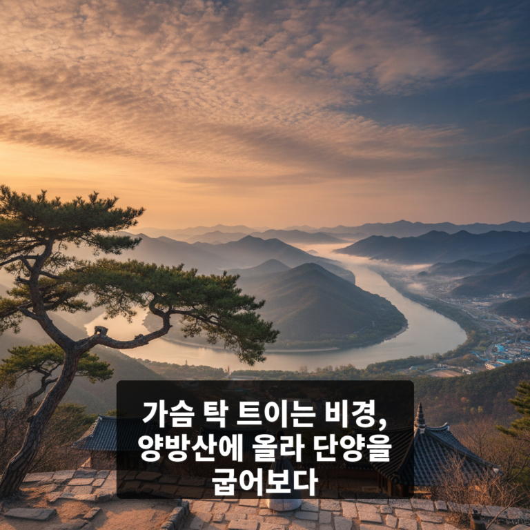 양방산에 올라 단양을 굽어보다