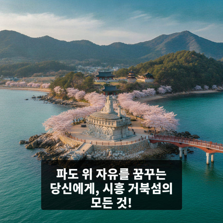 거북섬
