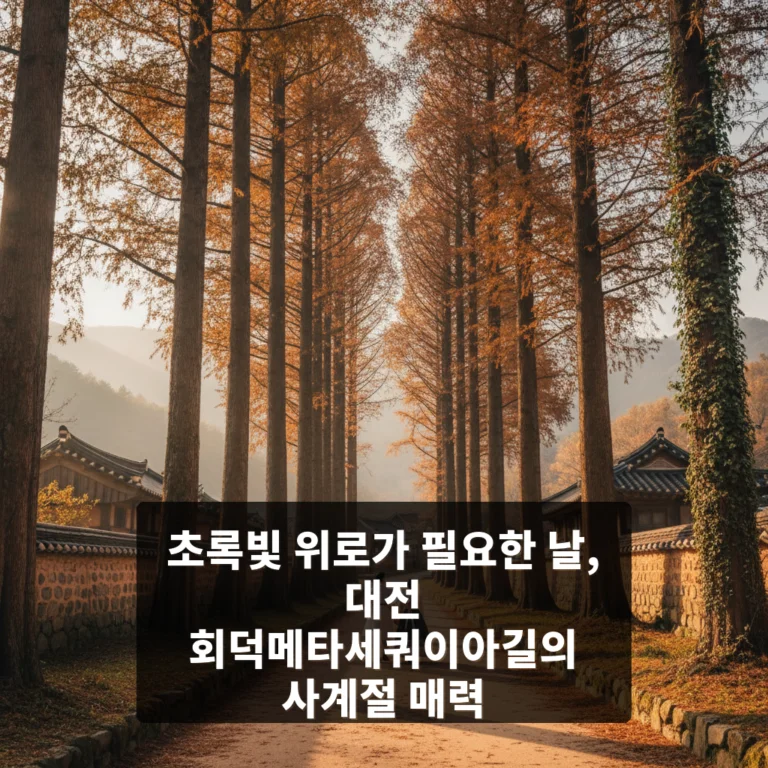 회덕메타세쿼이아길