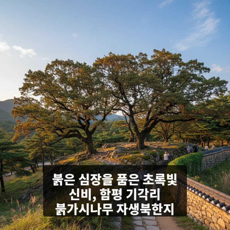 함평 기각리 붉가시나무 자생북한지