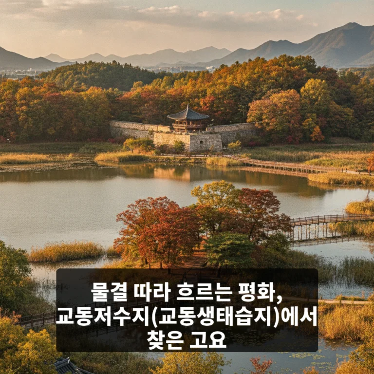 교동저수지(교동생태습지)