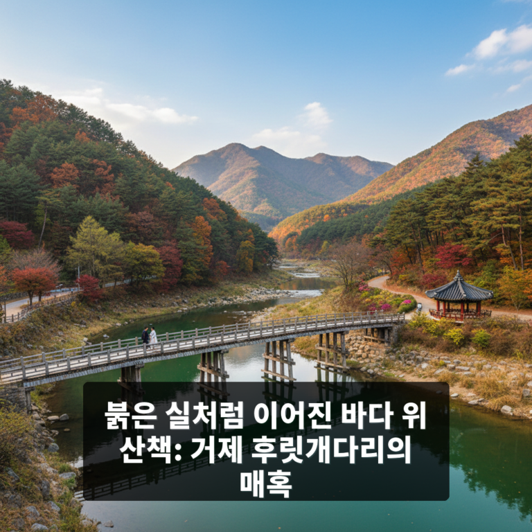 후릿개다리
