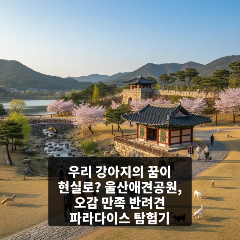울산애견공원