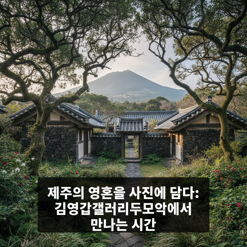 김영갑갤러리두모악