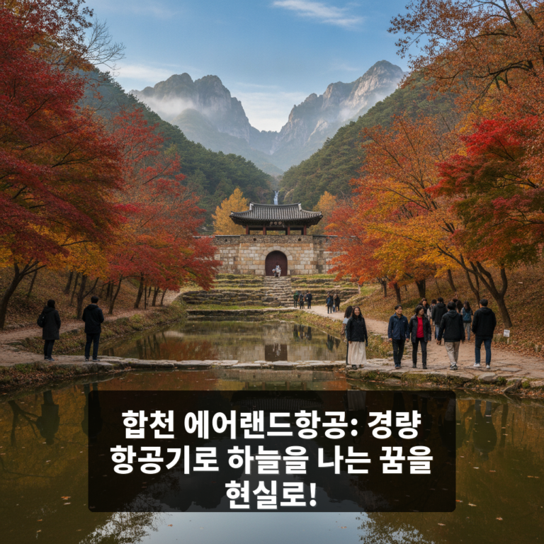 에어랜드항공