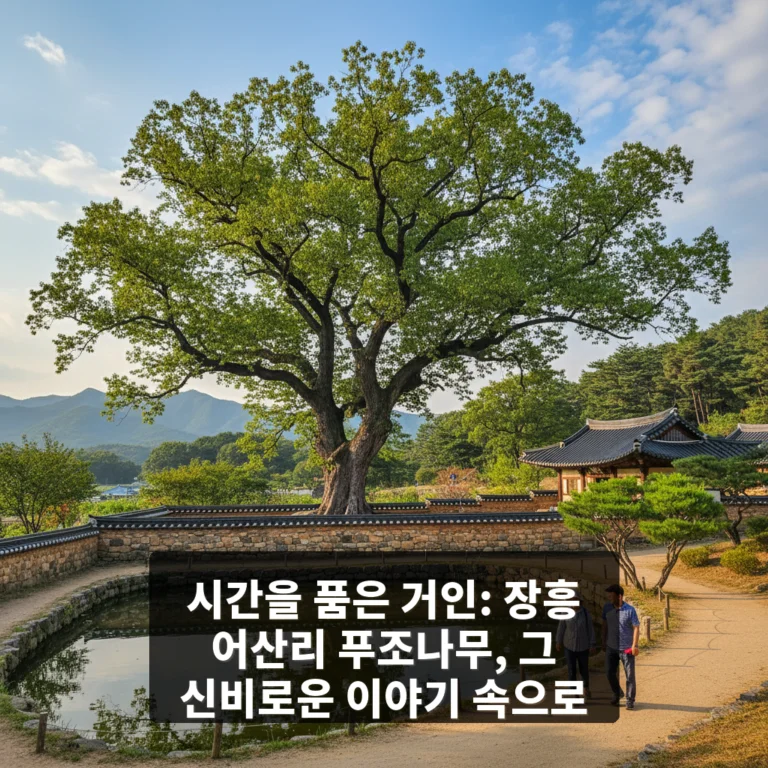장흥 어산리 푸조나무