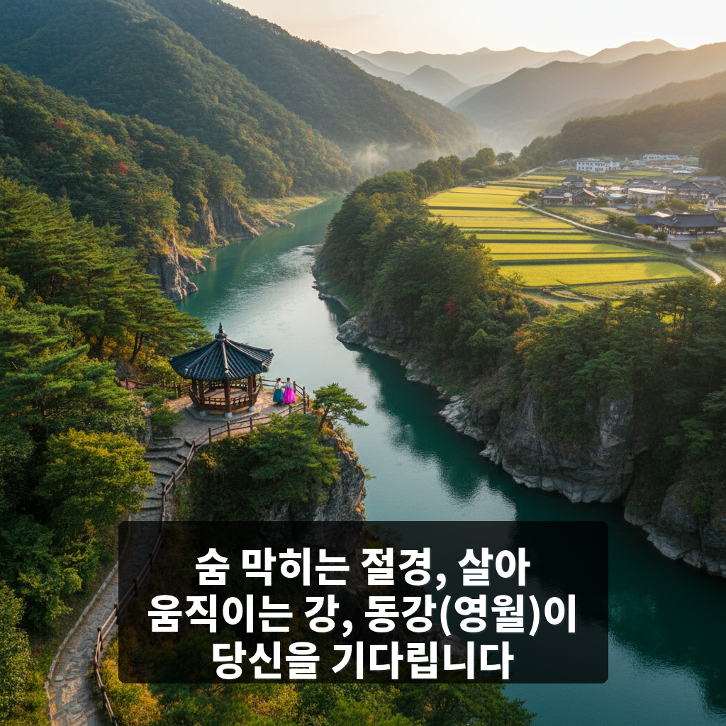 동강(영월)