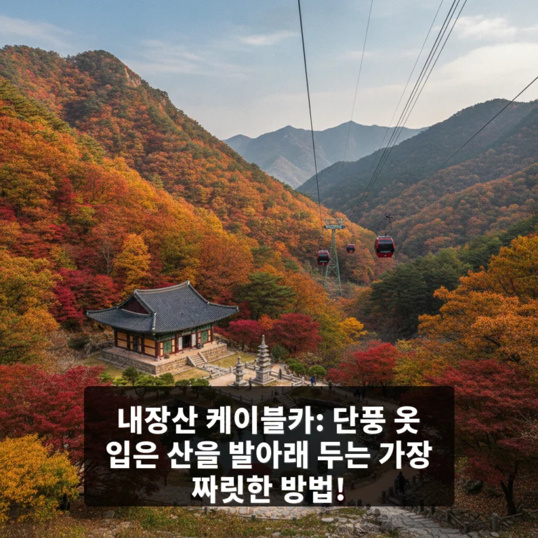 내장산 케이블카