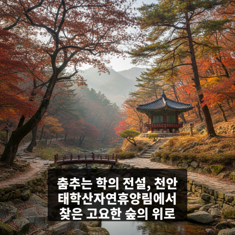 태학산자연휴양림