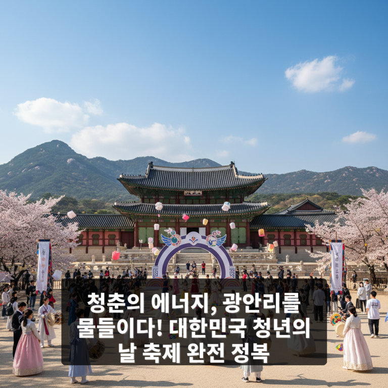 대한민국 청년의 날 축제