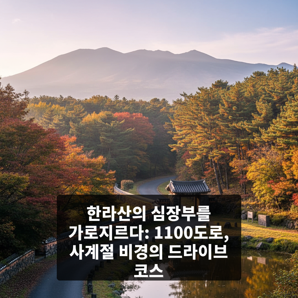 1100도로
