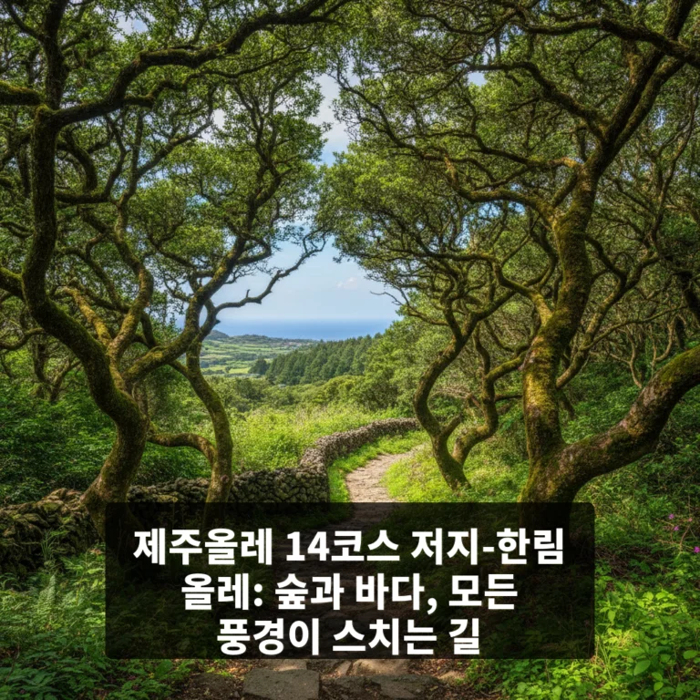 제주올레 14코스 저지-한림 올레