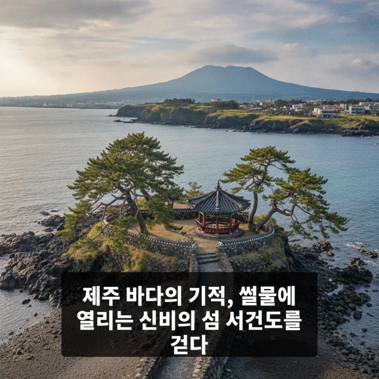 서건도