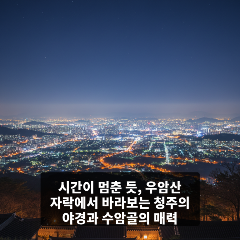 우암산 자락에서 바라보는 청주의 야경