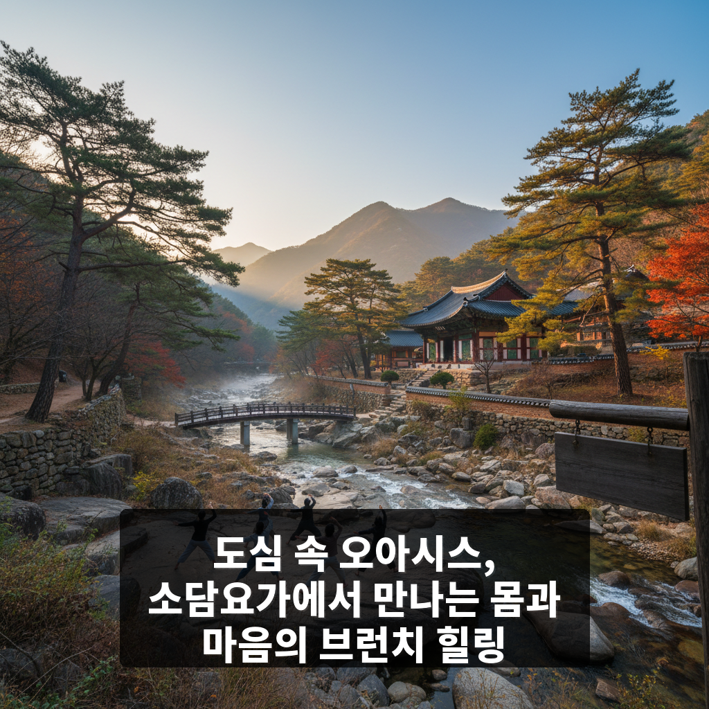소담요가