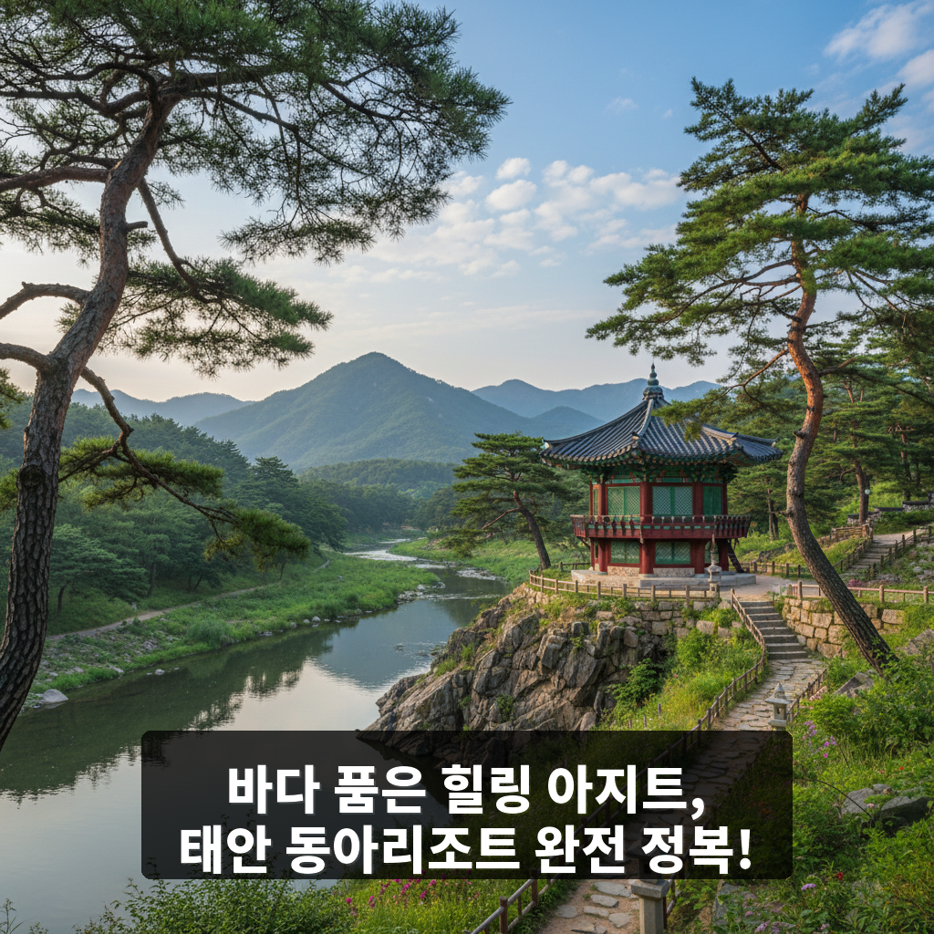 동아리조트