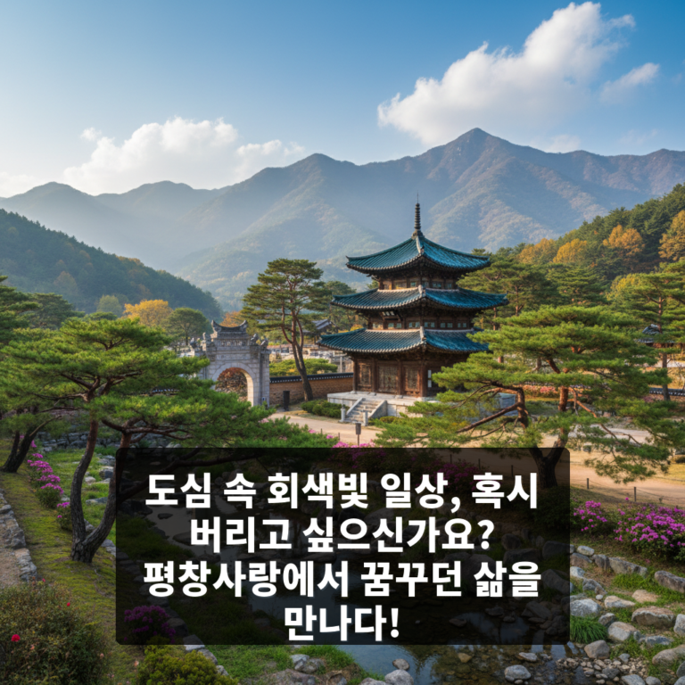 평창사랑