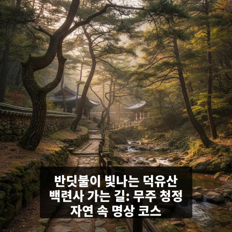 무주 반딧불이가 사는 덕유산의 백련사 가는 길