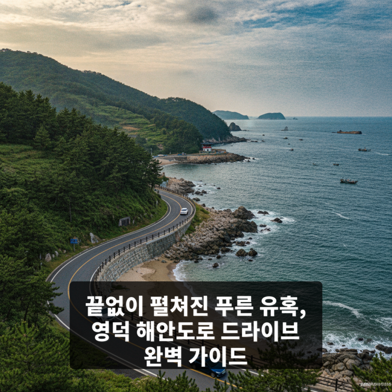 영덕 해안도로 드라이브