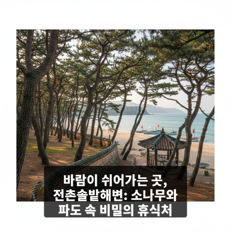 전촌솔밭해변