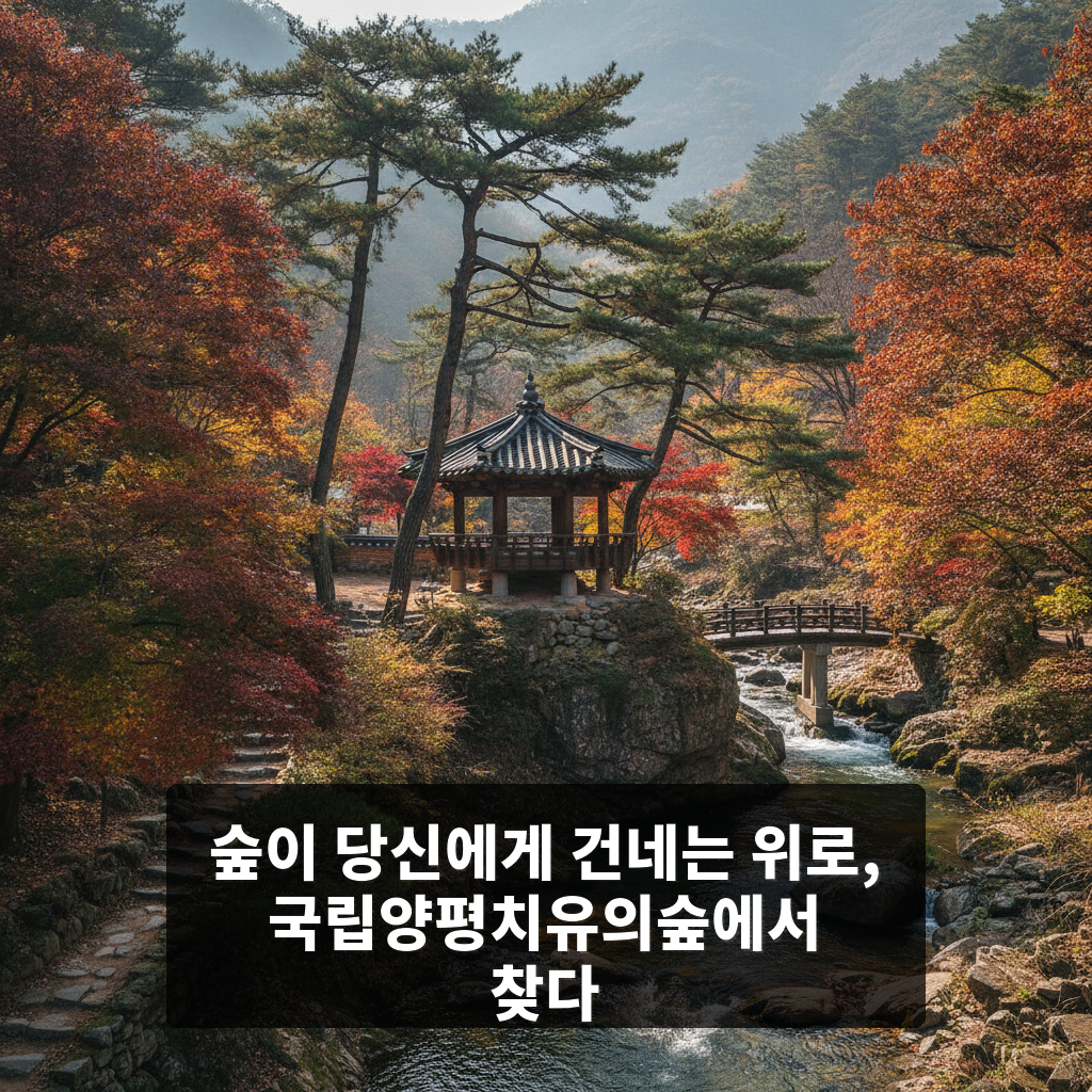 국립양평치유의숲