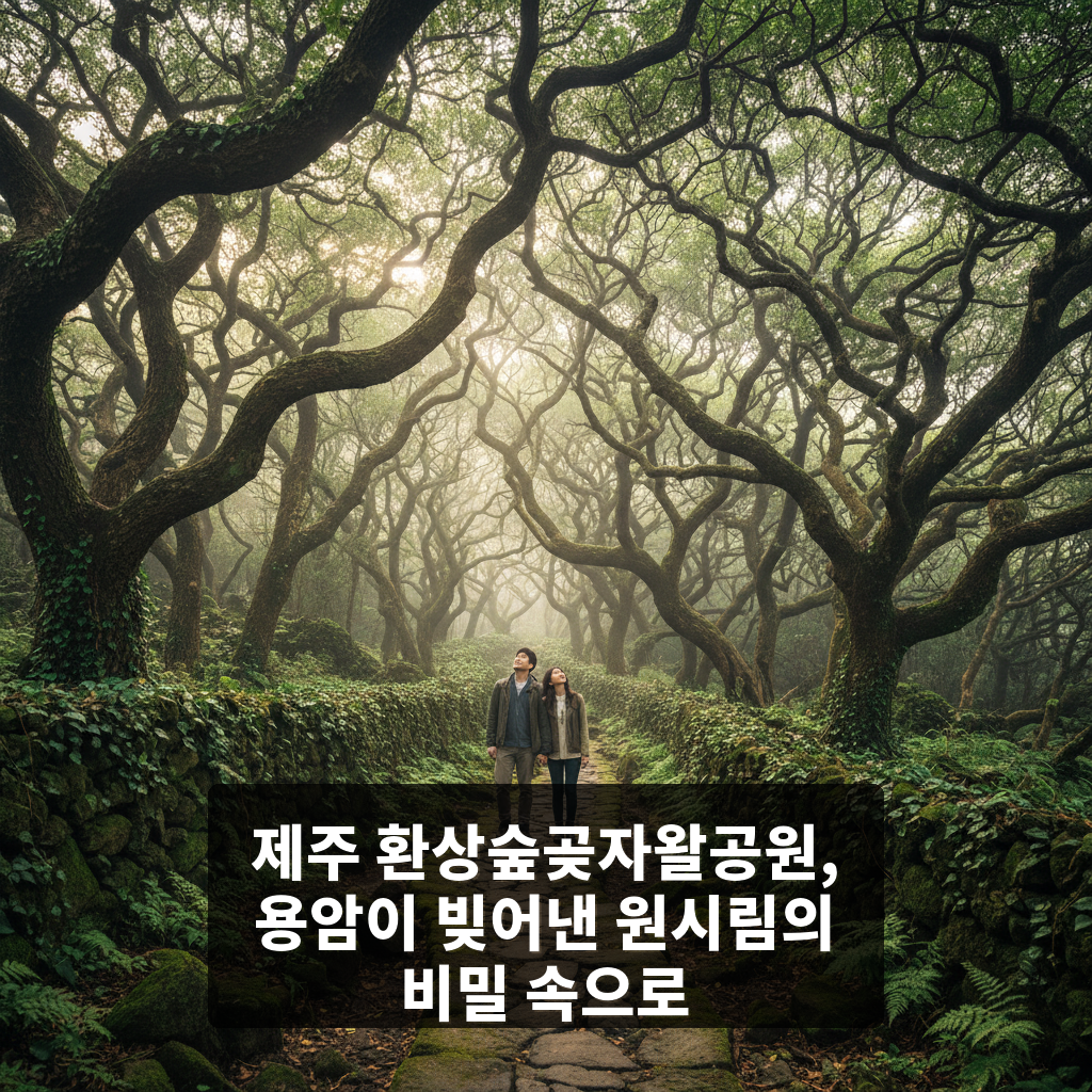 환상숲곶자왈공원