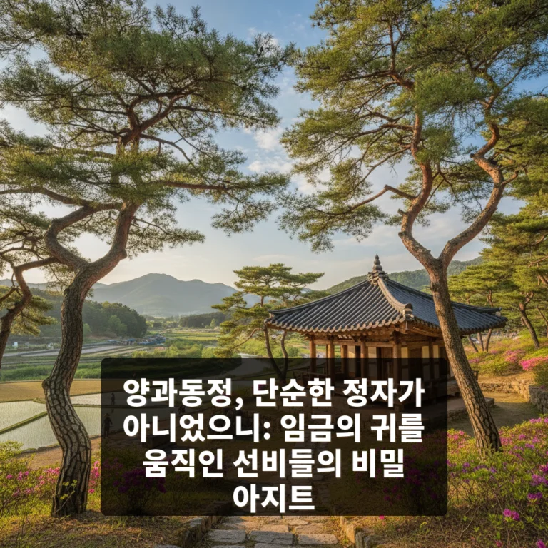 양과동정