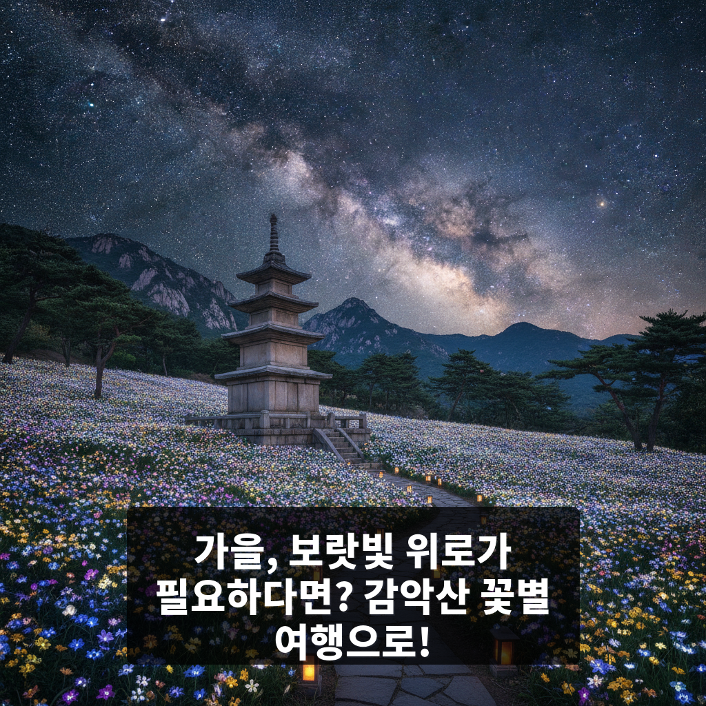 감악산 꽃별 여행