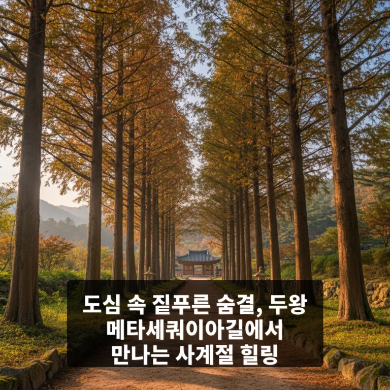 두왕 메타세쿼이아길