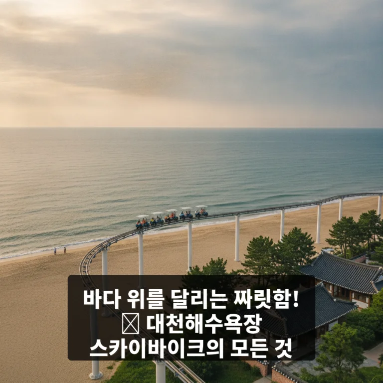 대천해수욕장 스카이바이크