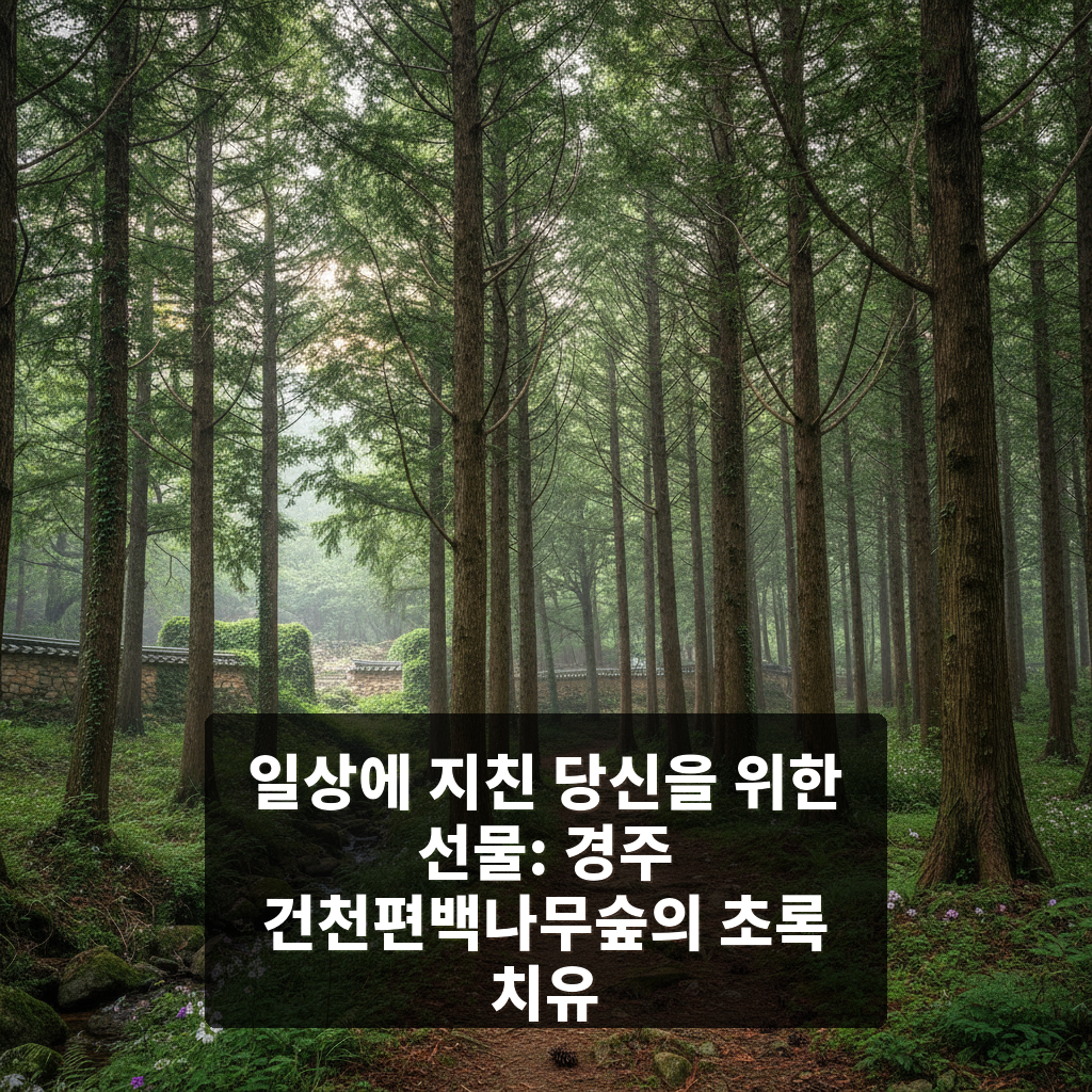 건천편백나무숲