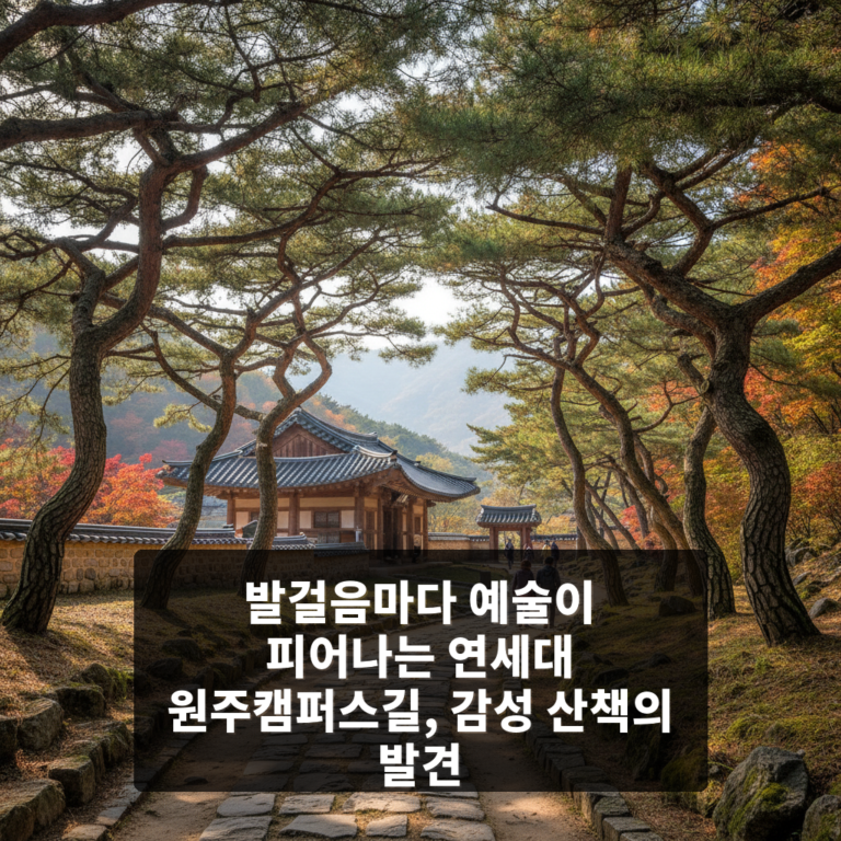 연세대 원주캠퍼스길