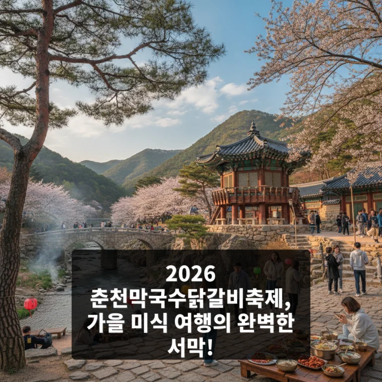 춘천막국수닭갈비축제