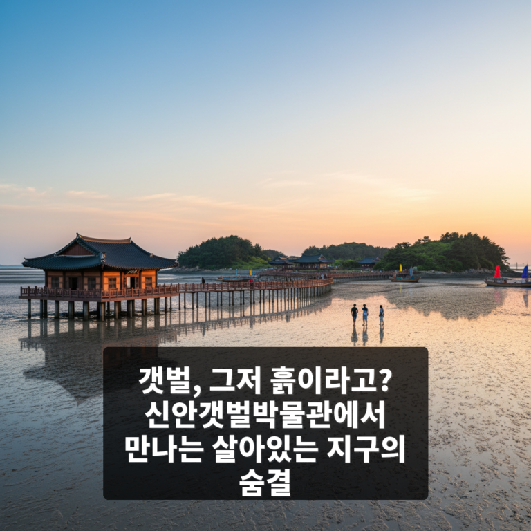 신안갯벌박물관
