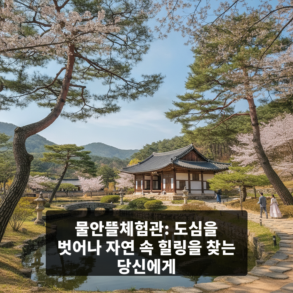 물안뜰체험관